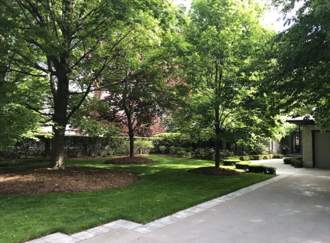 Tree-lined property with a freshly maintained lawn and driveway