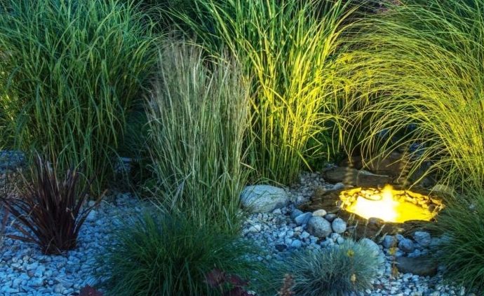 Outdoor Lighting